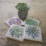 Load image into Gallery viewer, Succulent Coaster
