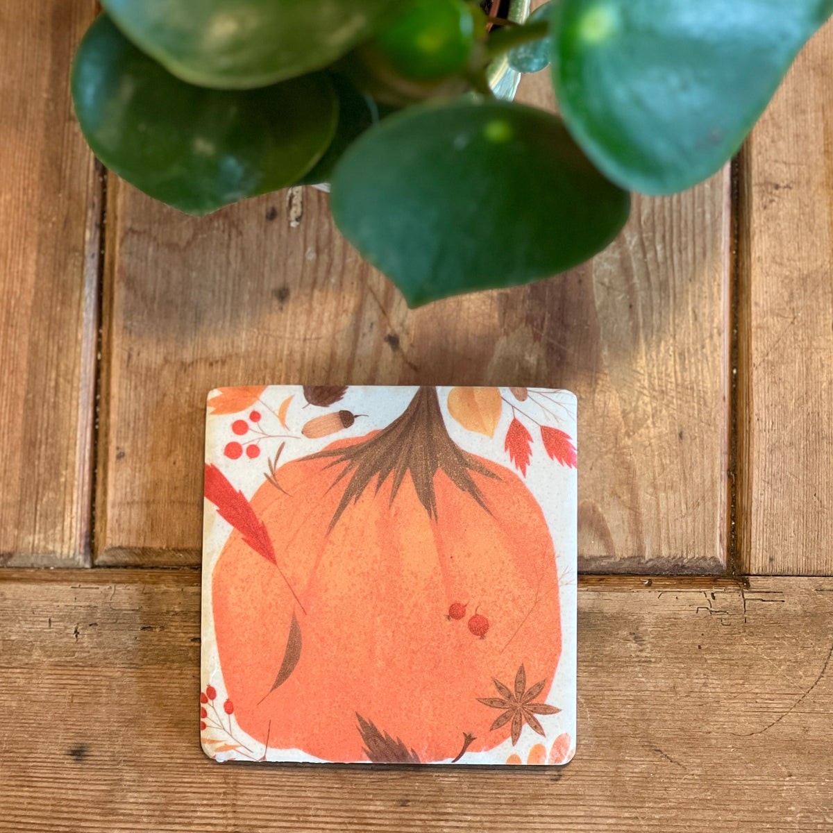 Autumn Coaster