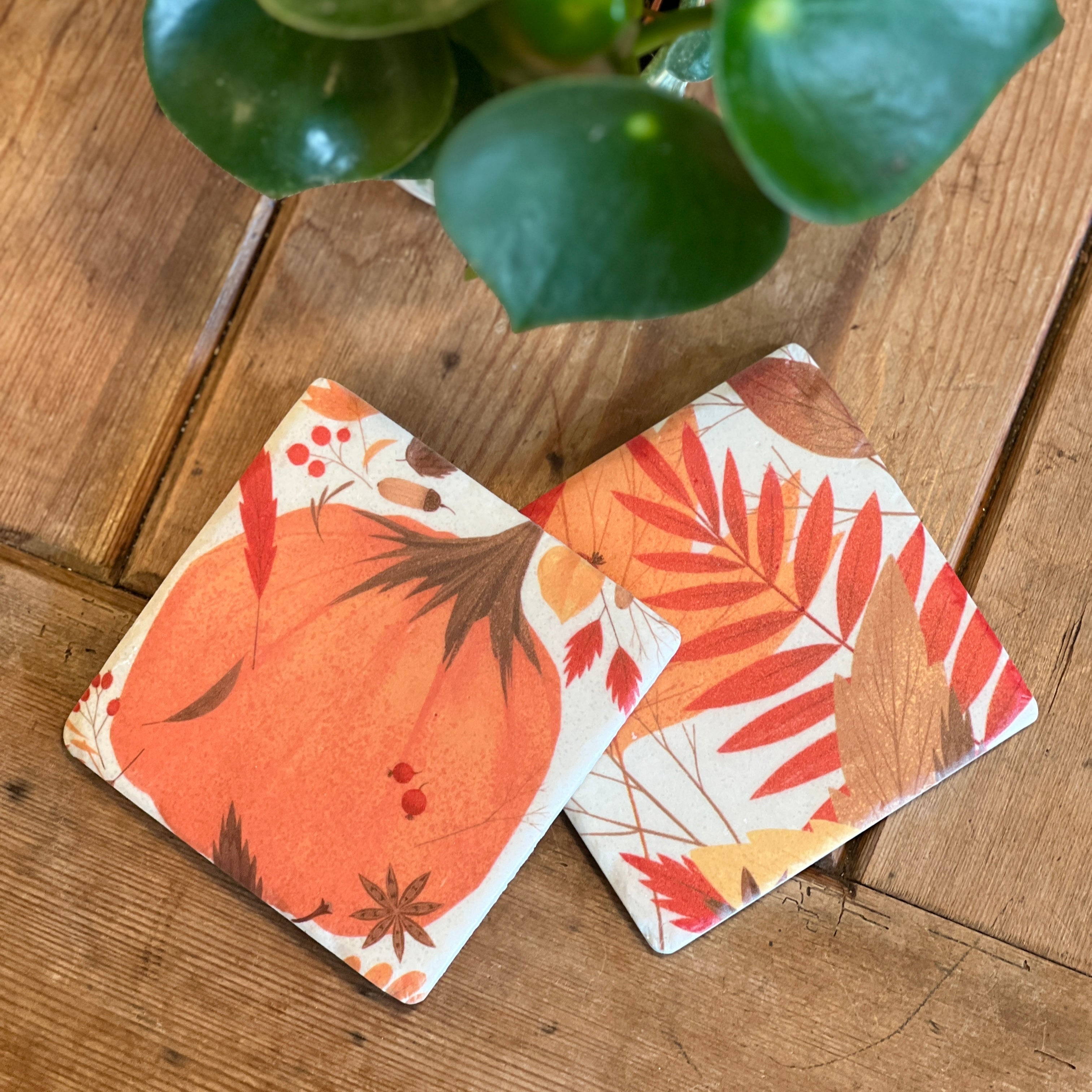 Autumn Coaster