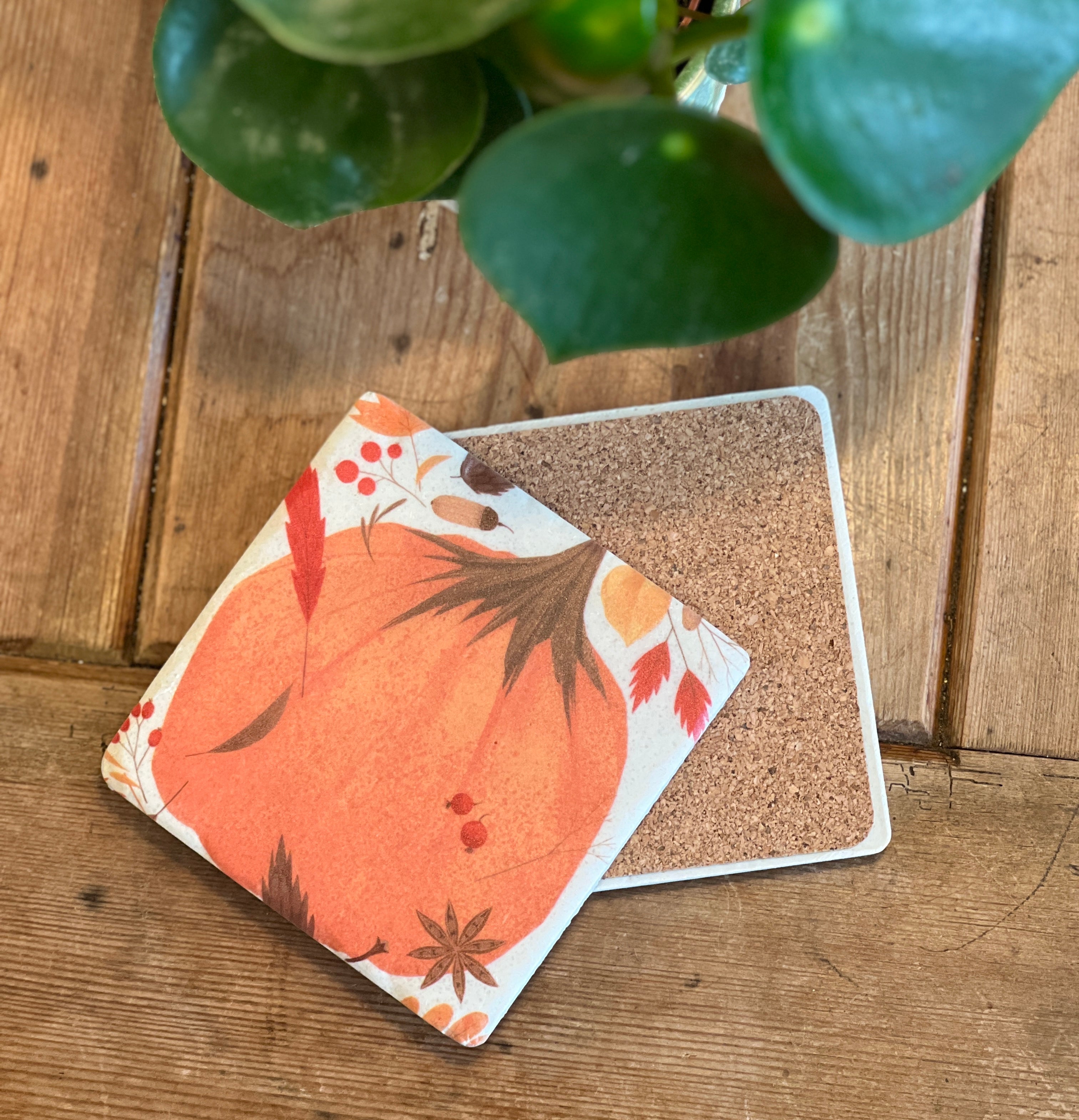 Autumn Coaster