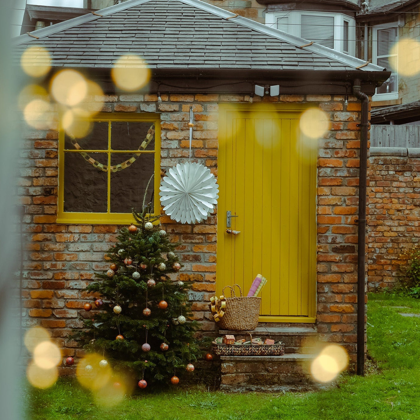 Paper White Star, Three Designs