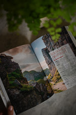 Load image into Gallery viewer, Wild Guide South West England
