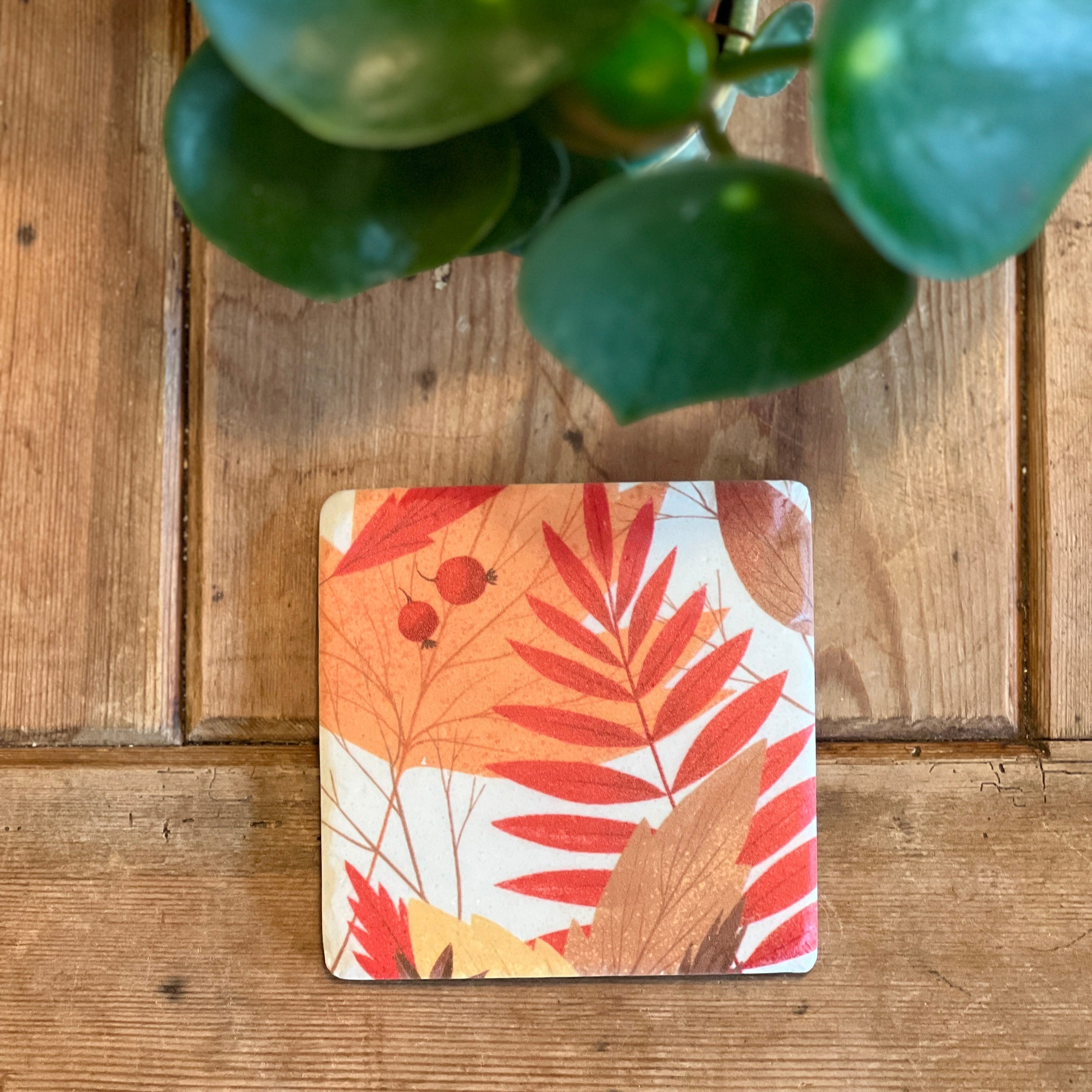 Autumn Coaster