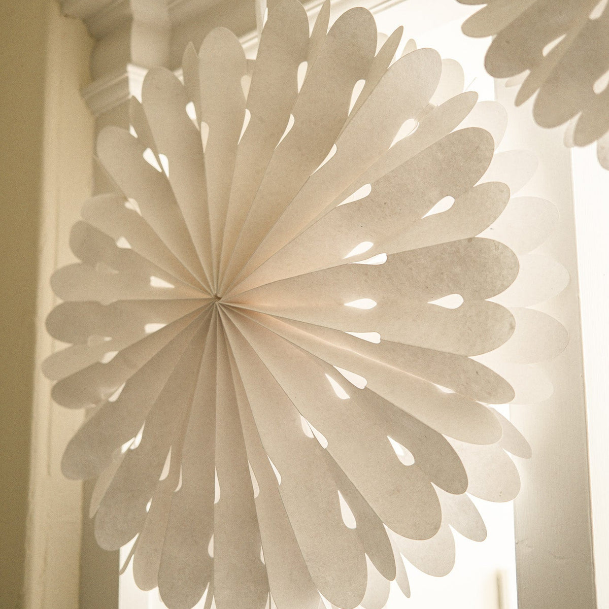 Paper White Star, Three Designs