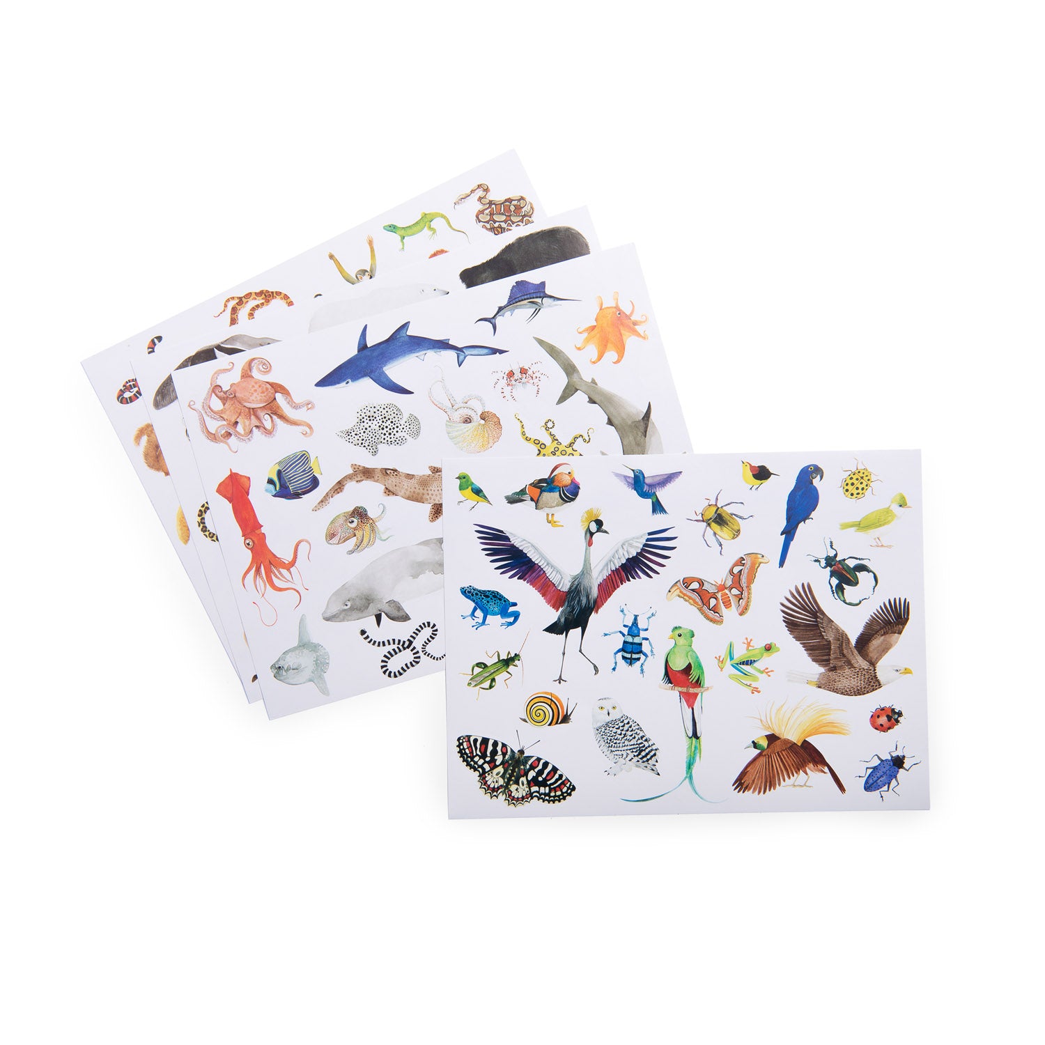 Animals of the World Stickers
