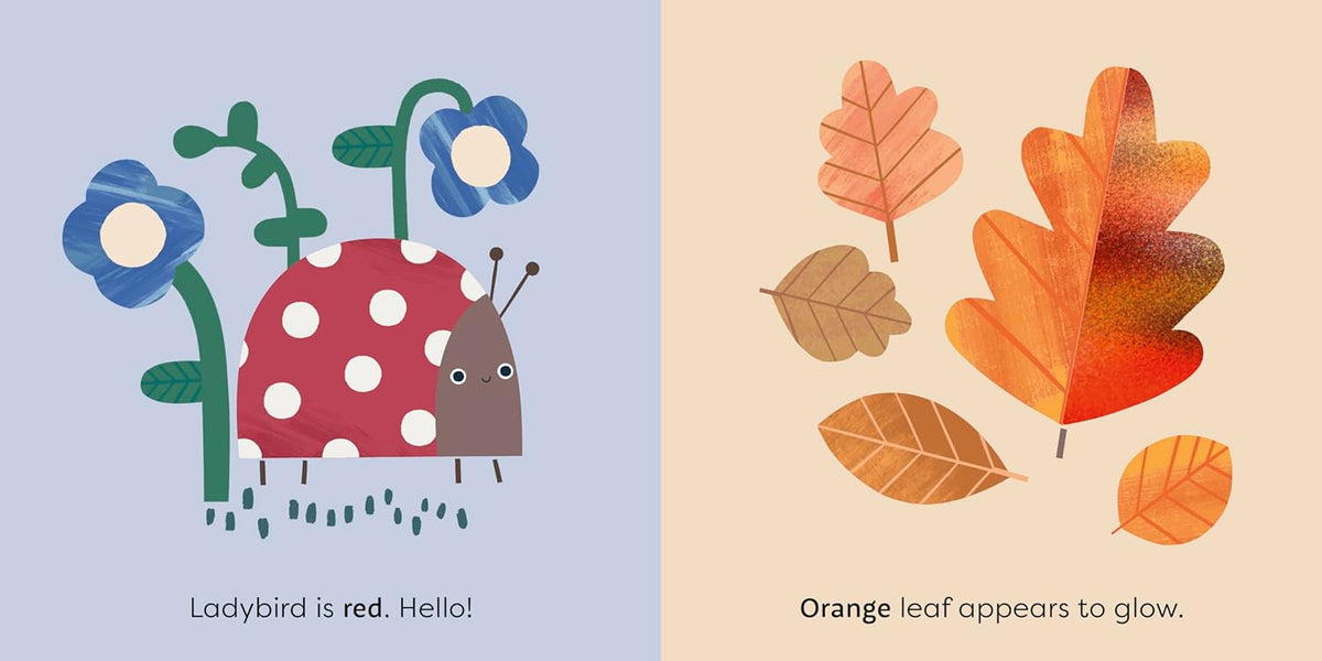 Nature, Touch and Feel Baby Book