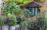 Load image into Gallery viewer, Flower Yard: Growing Flamboyant Flowers In Containers
