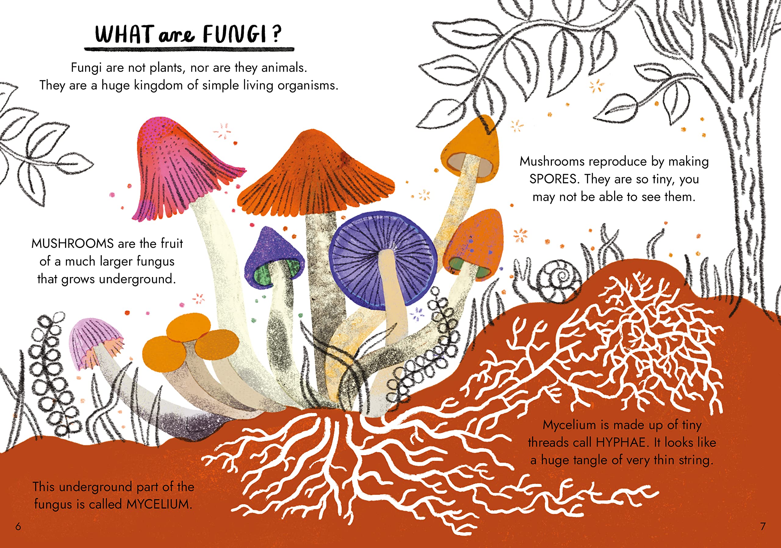 Hello Fungi: A Little Guide to Nature