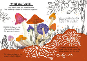 Hello Fungi: A Little Guide to Nature