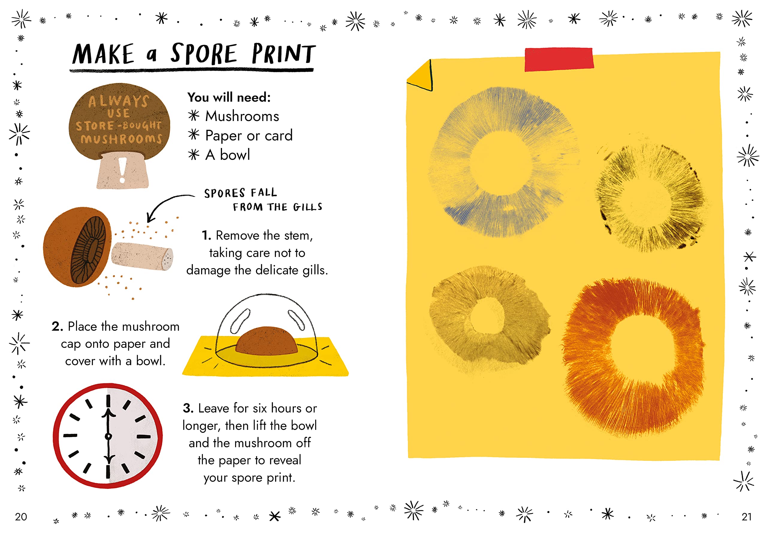 Hello Fungi: A Little Guide to Nature