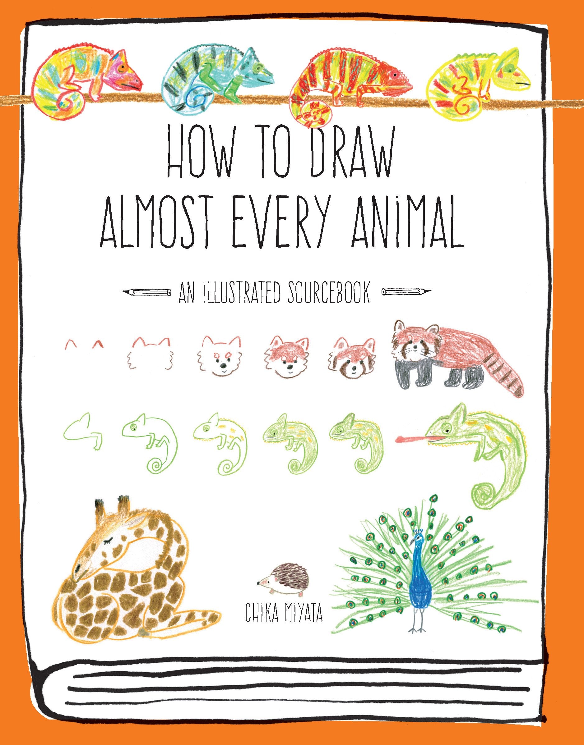 How to Draw Almost Everything