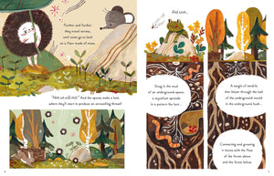 5 Minute Nature Stories Children’s Book