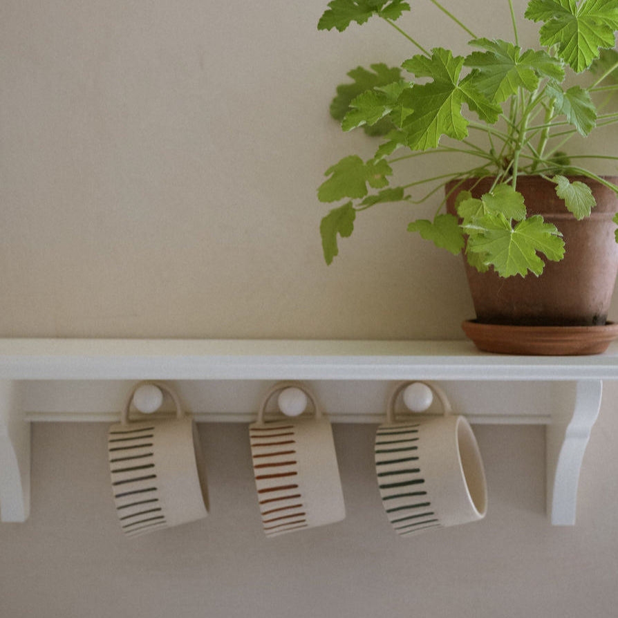 Potted plant on a white shelf with hooks and ridged mugs hanging.