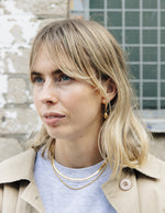 Load image into Gallery viewer, Gold Double Layer Feature Necklace
