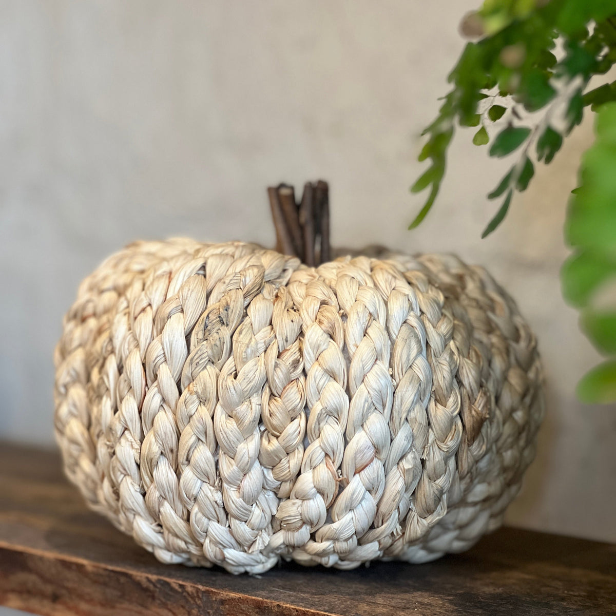 Cornhusk Pumpkin