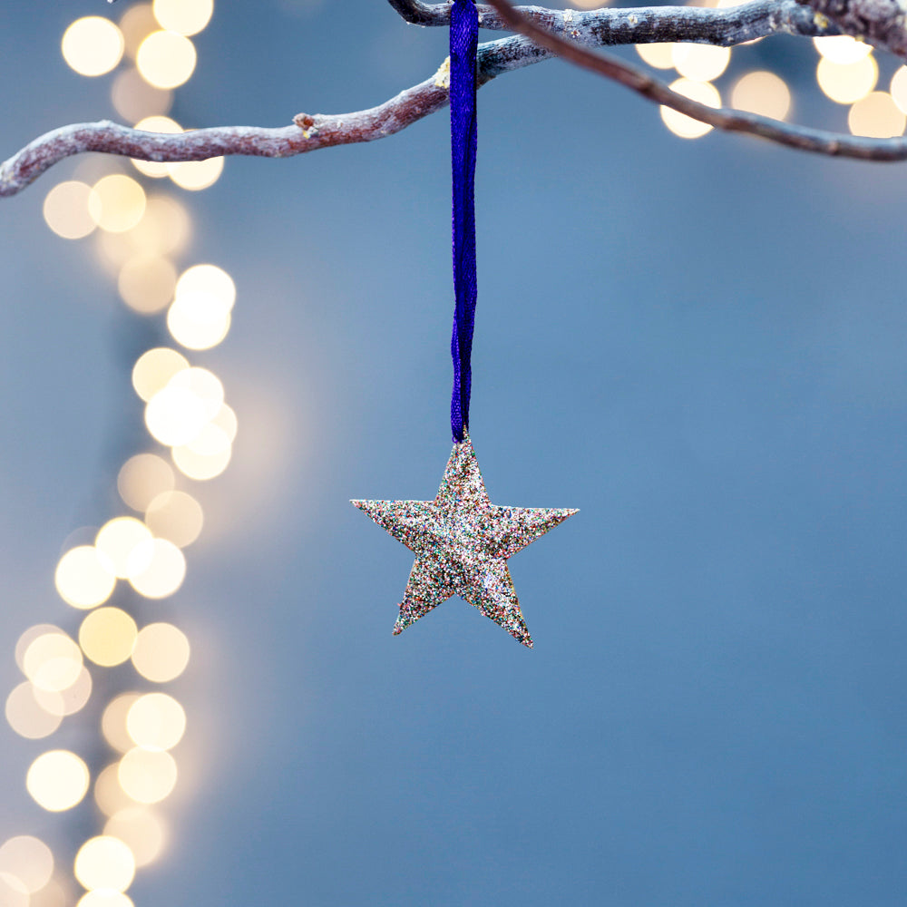 Sparkle Star Decoration