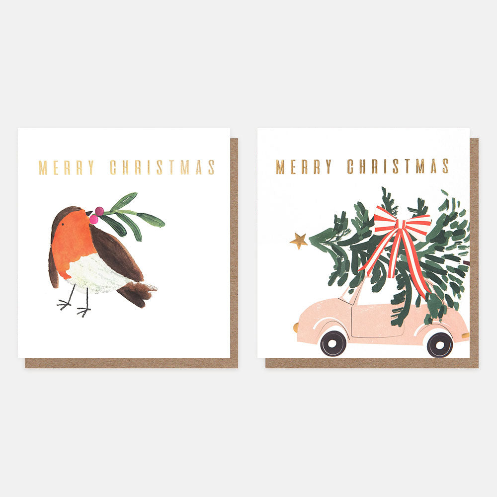 Robin and Car Charity Christmas Card Pack