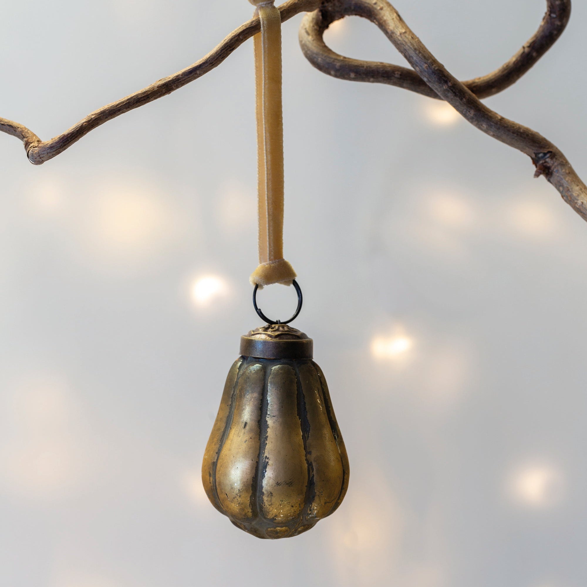Gold pear hanging from a branch with a soft light background