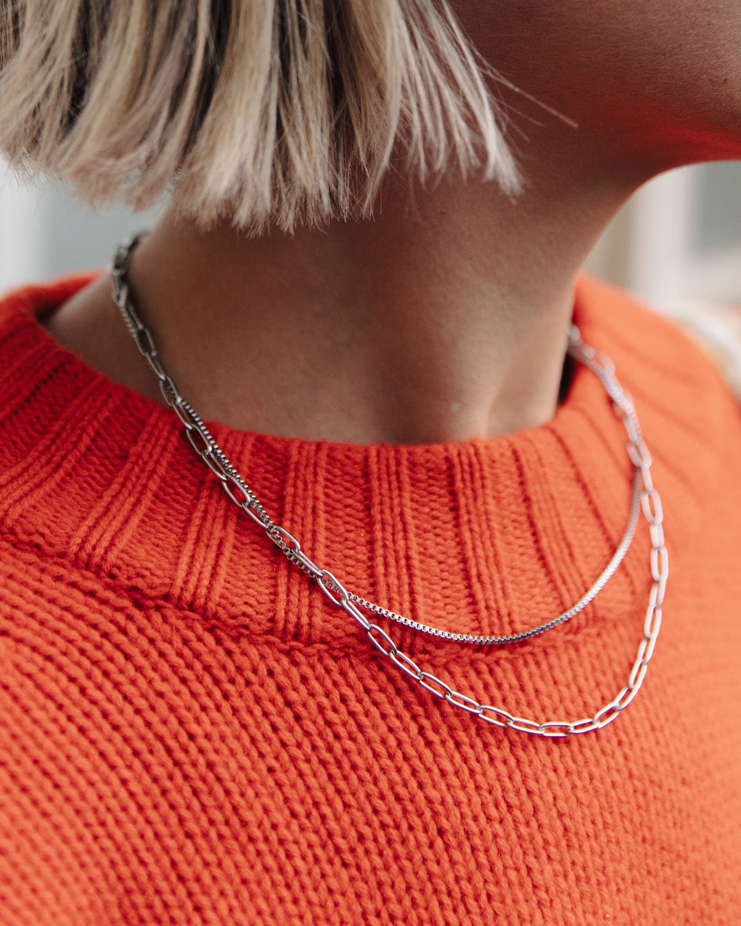 Silver Double Layer Feature Necklace
