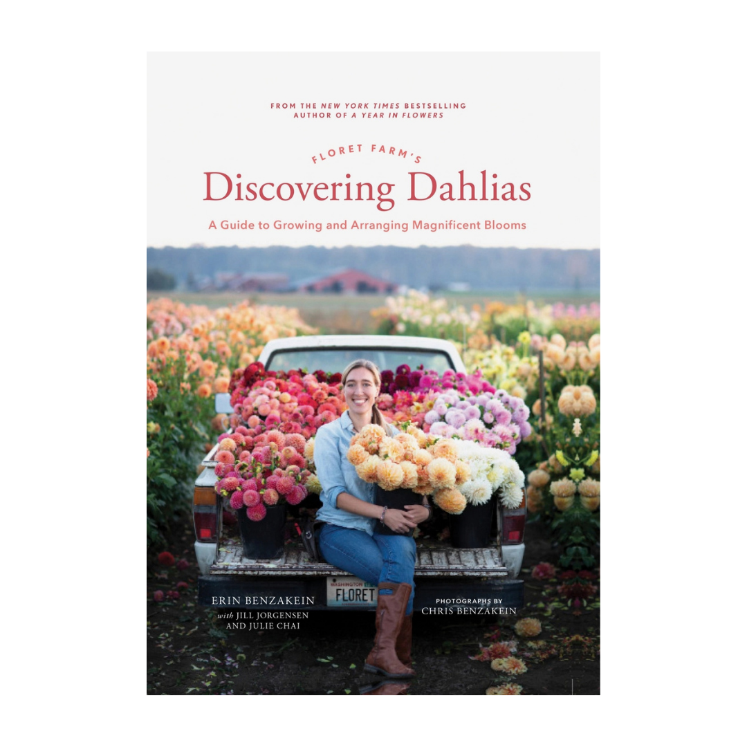 Discovering Dahlias