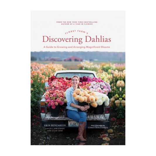 Discovering Dahlias