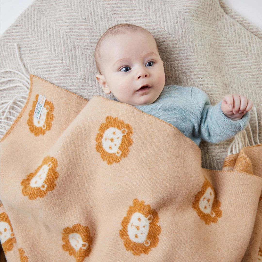 Merino Wool Pink Rainbow Baby Blanket