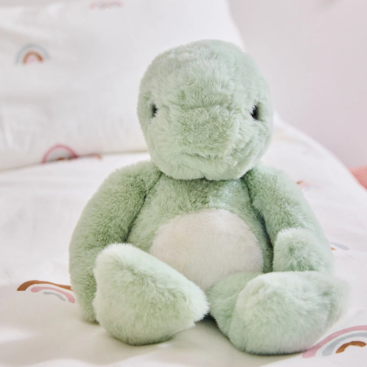 Timmy Tortoise
