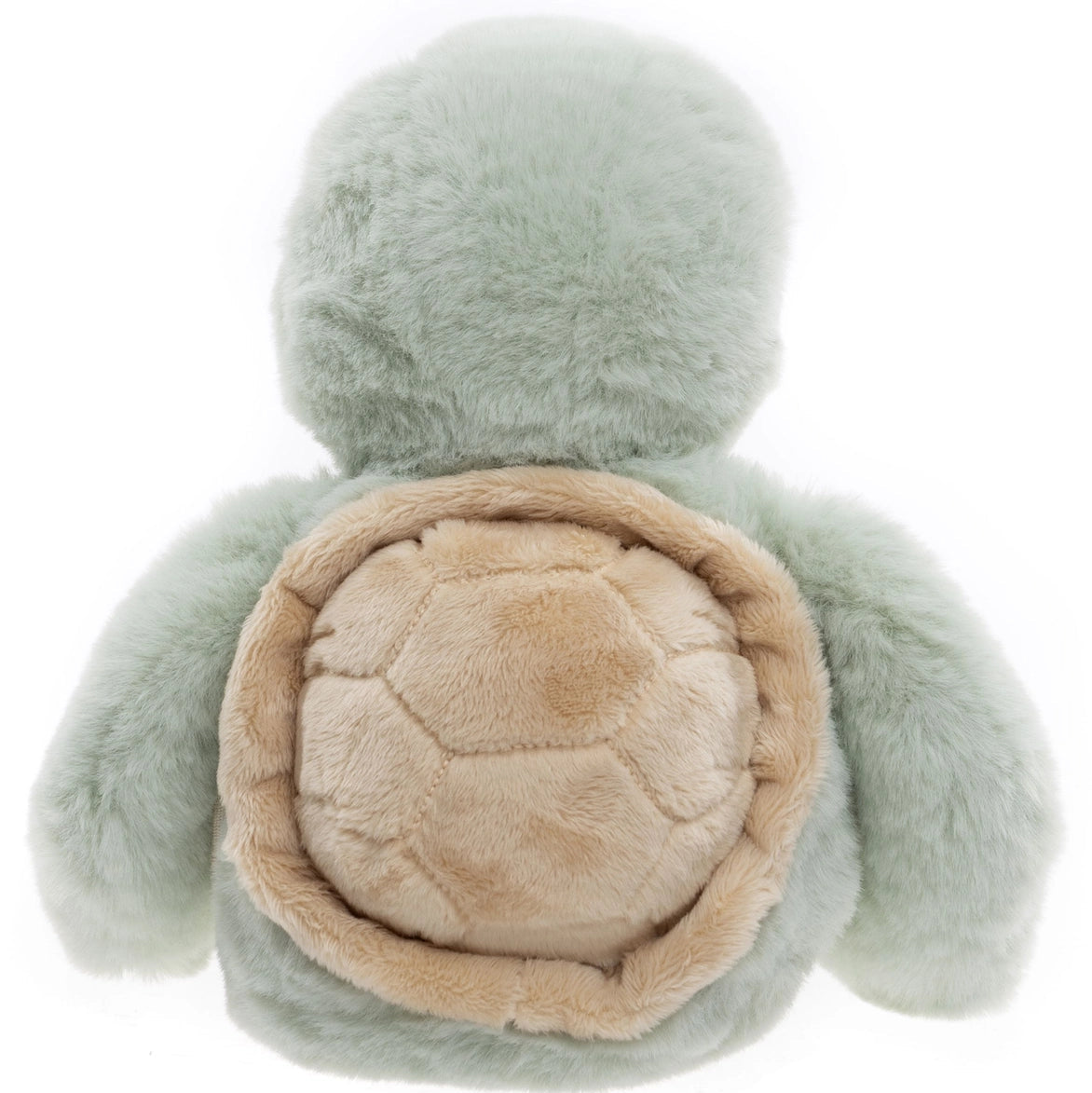 Timmy Tortoise