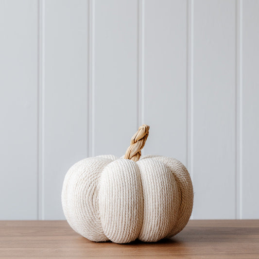 Decorative white pumpkin with a raffia stem on a wooden surface against a off white wall.