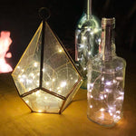 Load image into Gallery viewer, Bottle Lights
