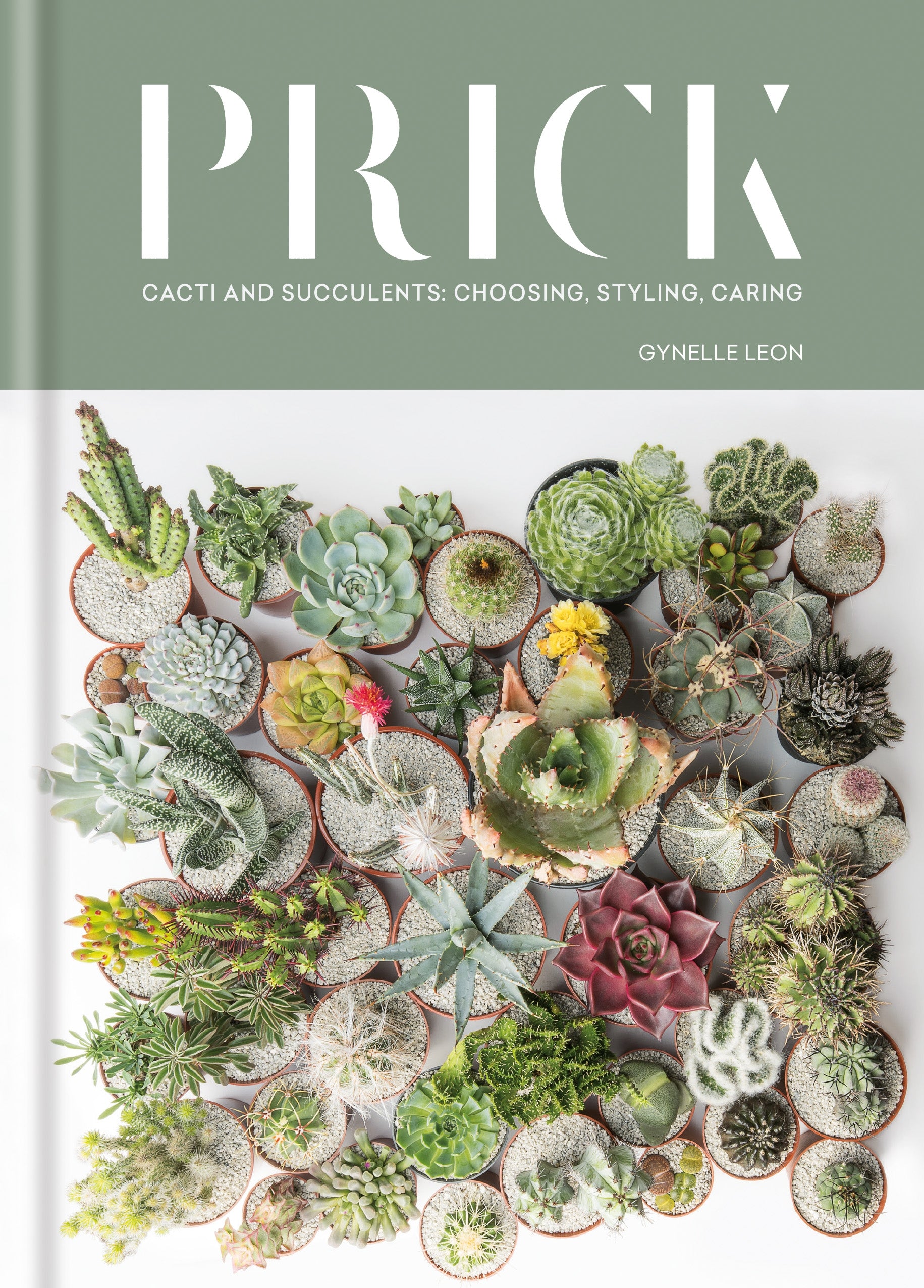 Prick: Cacti and Succulents Book