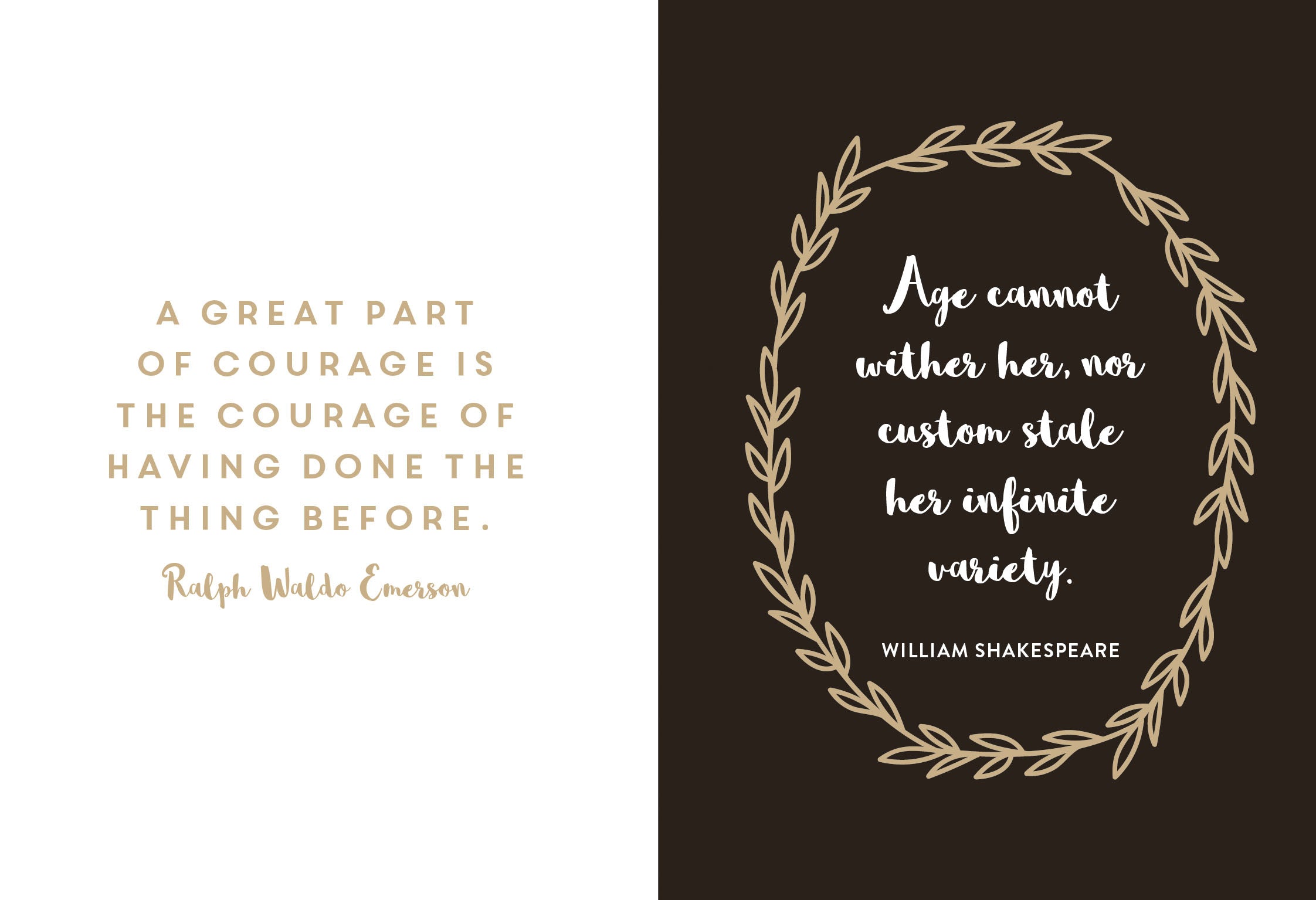 She Believed She Could, So She Did Book