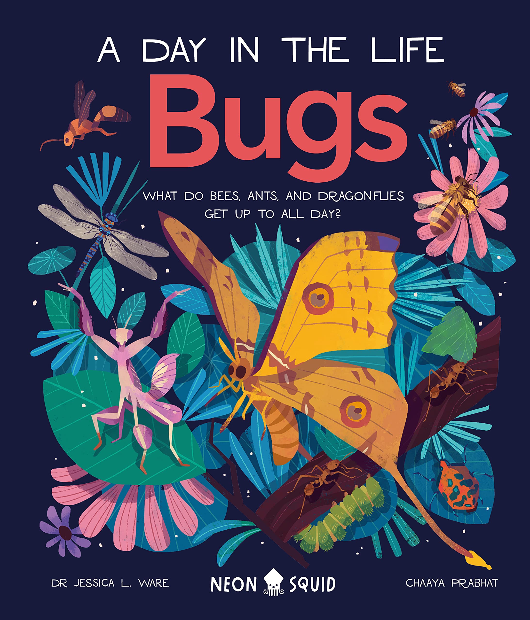 'A Day In The Life of Bugs' Book