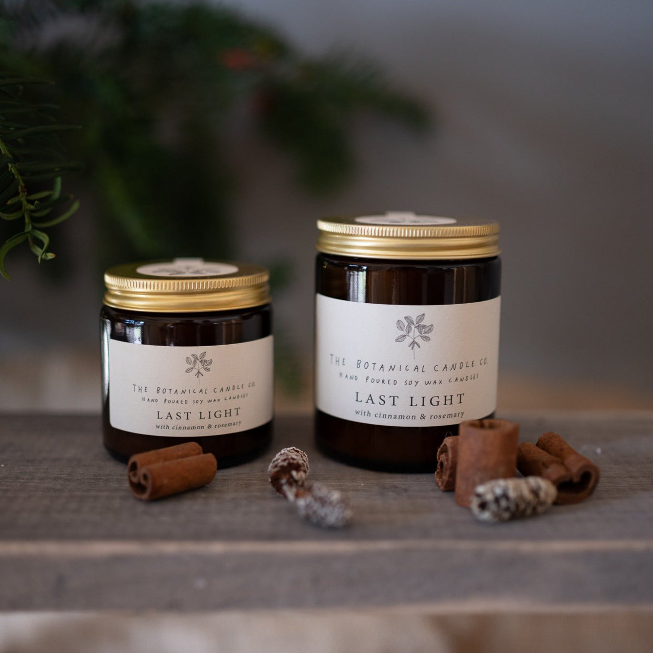 'Last Light' Winter Candle by Botanical Candle Co.