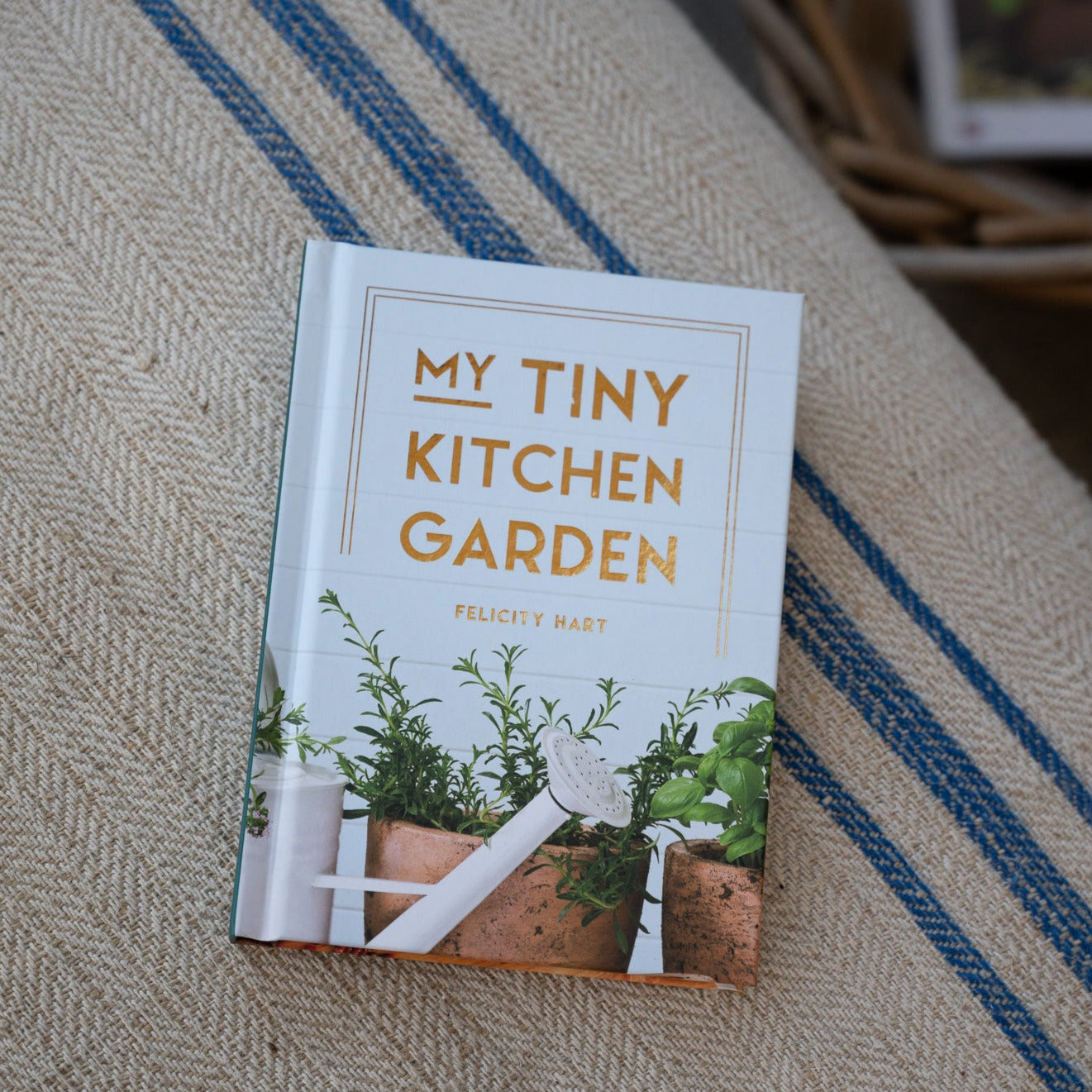 'My Tiny Kitchen Garden' Book