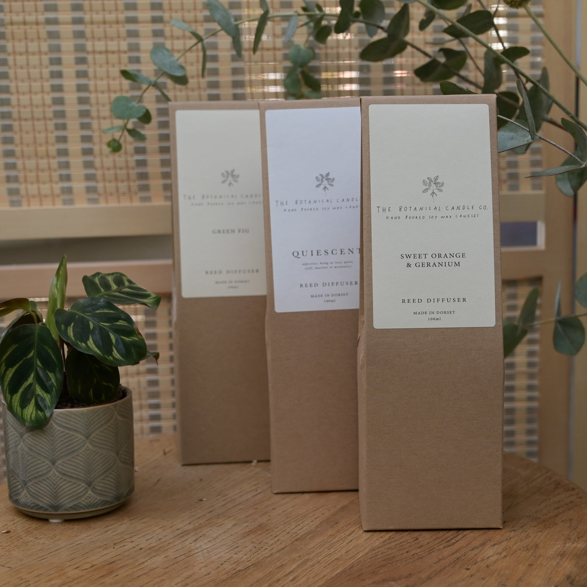 Reed Diffusers, The Botanical Candle Co.